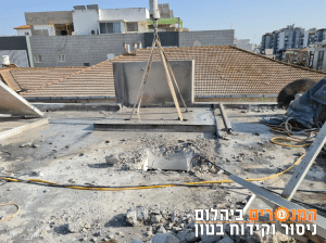 תמונה113