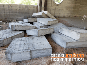 תמונה21